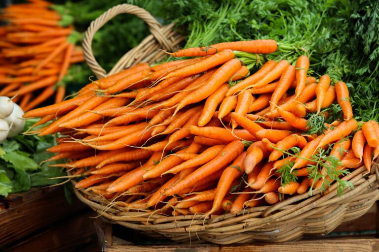 Dyeing with Carrot Tops to produce that elusive grey.