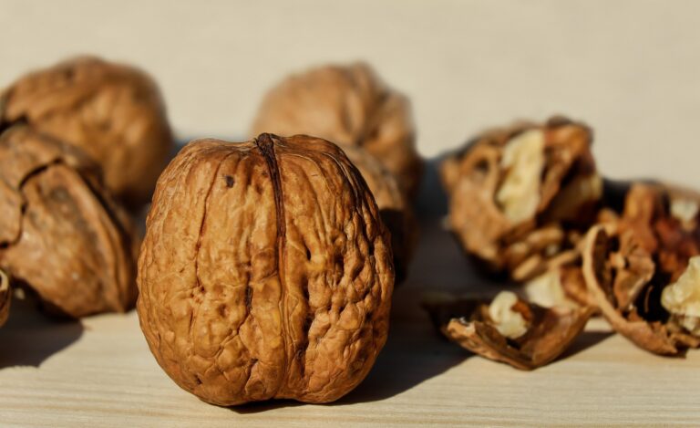 Dyeing with Walnut husks: The subtle shade.