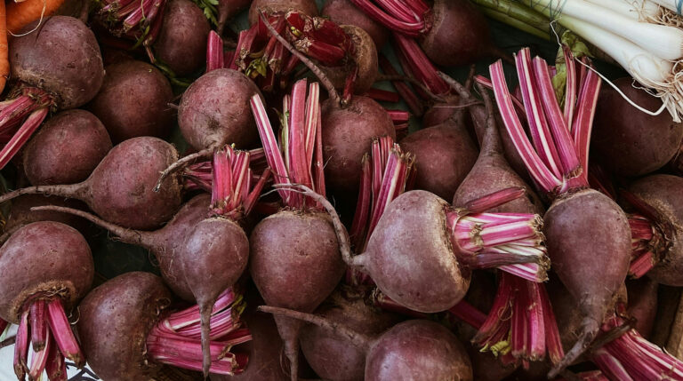 Solar dyeing with Beetroot :Natural dyeing on a budget