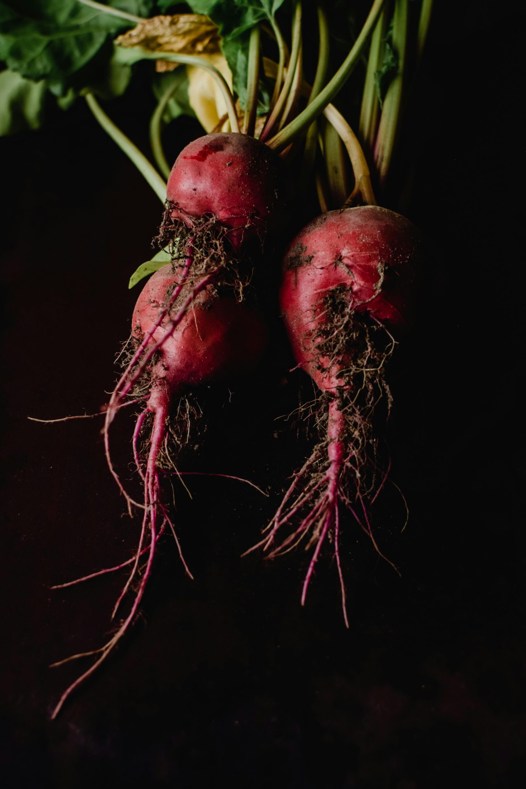 Dyeing with beetroot