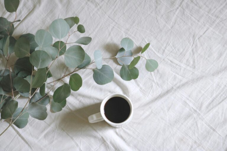 Dyeing with Eucalyptus Leaves to give a brilliant yellow.