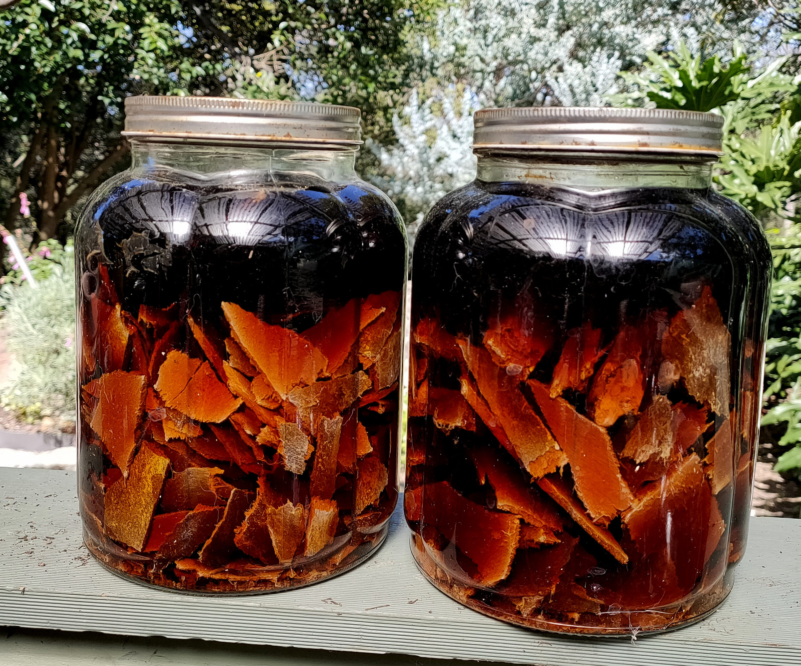 dyeing with gum tree bark