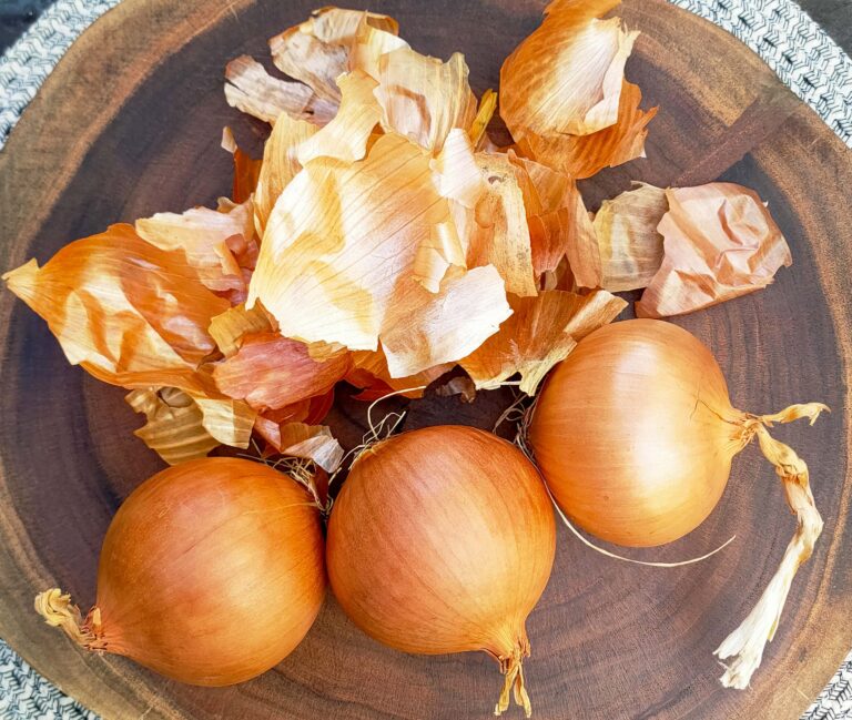 Dyeing with Brown Onions, a great staple for eco dyeing.