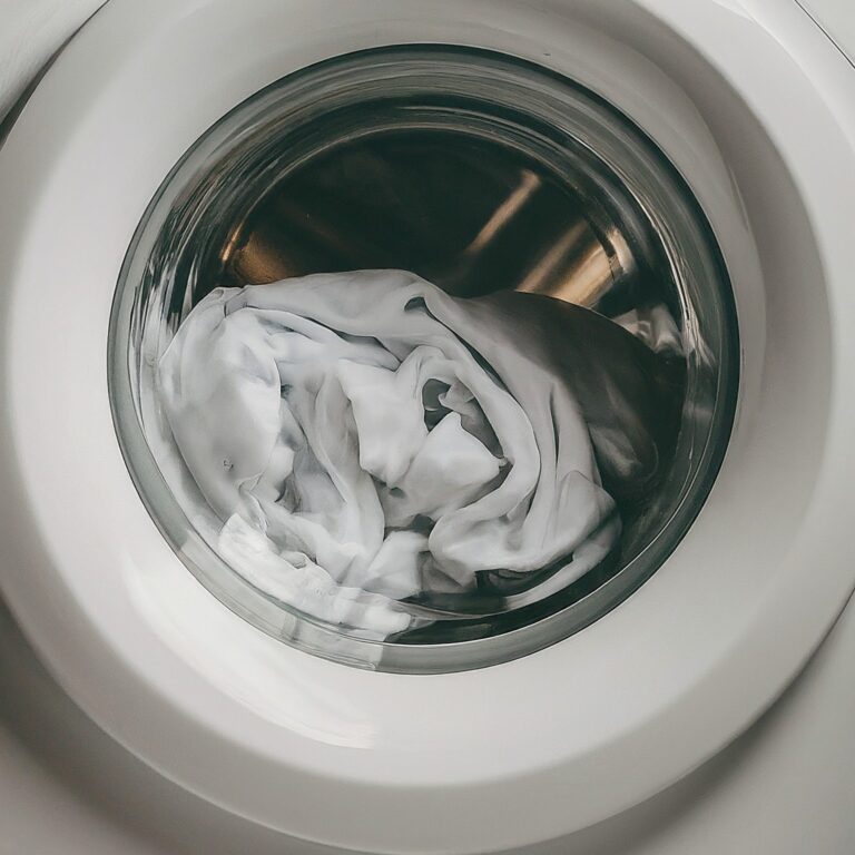 Scouring Cellulose Fibres for the Natural Dyeing Process.