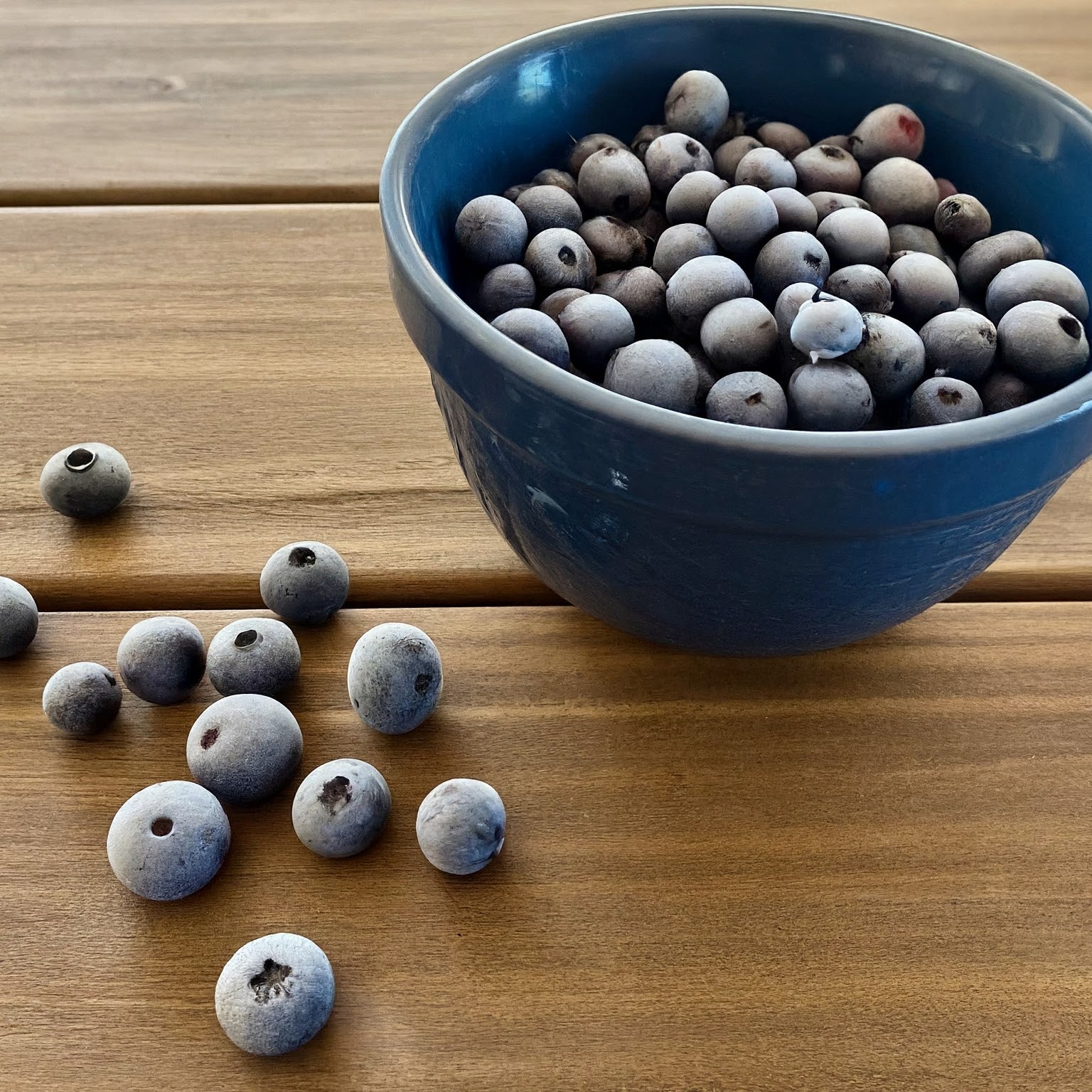 dyeing with frozen blueberries