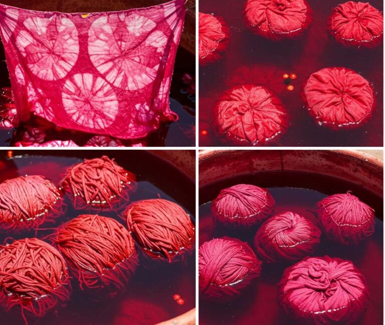 Dyeing with Cochineal: If at first you don’t succeed.